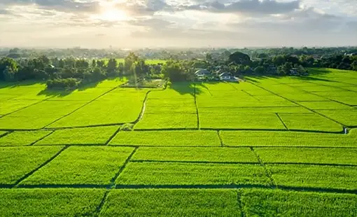 Tribeca Karjat Images