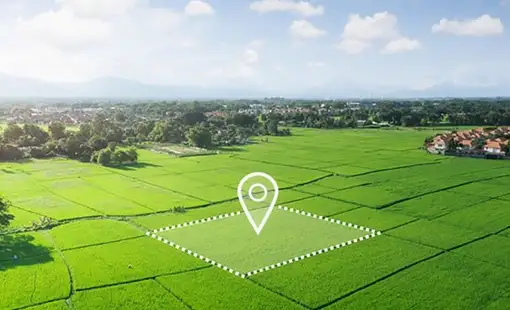 Tribeca Karjat Images