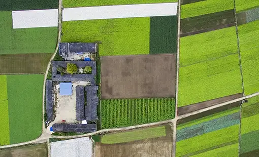 Tribeca Karjat Images