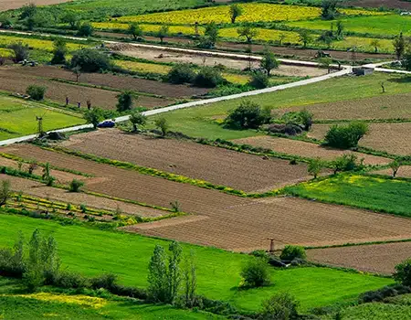 Tribeca PreLanch Khopoli