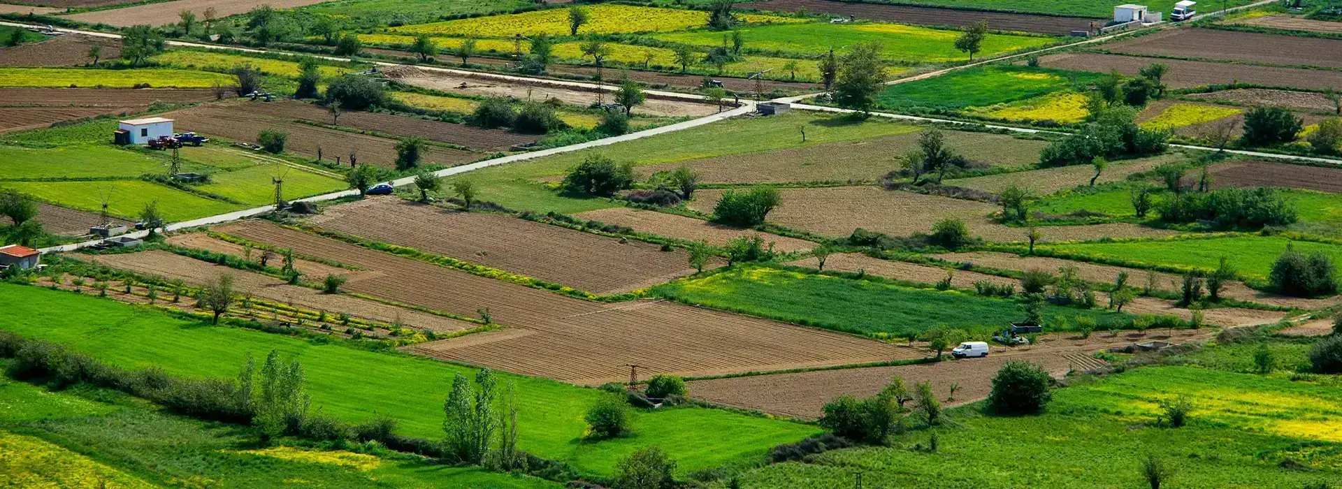 Tribeca PreLanch Khopoli